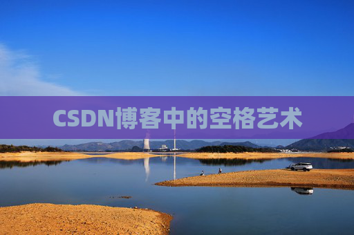 CSDN博客中的空格艺术